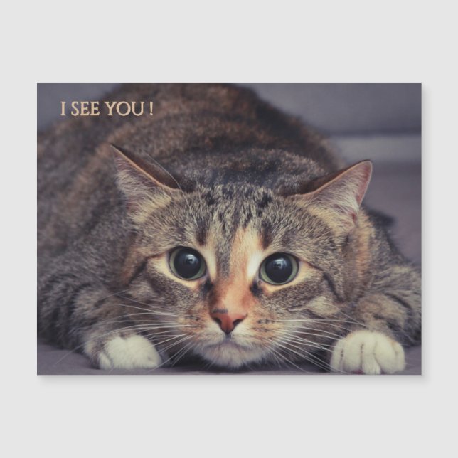 Carte Magnétique Aimant drôle de chat je vous vois (Devant)