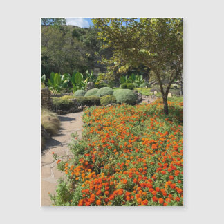 Carte Magnétique Aimant Fleurs du Jardin de Thé