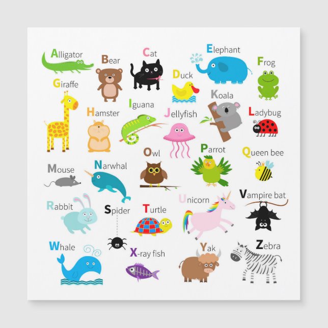 Carte Magnétique Alphabet animal (Devant)