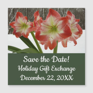 Carte Magnétique Amaryllis en Fête Rouge Neige Hiver Floral
