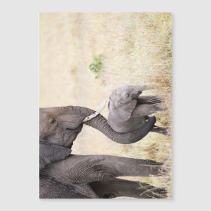 Carte Magnétique Amour maternel