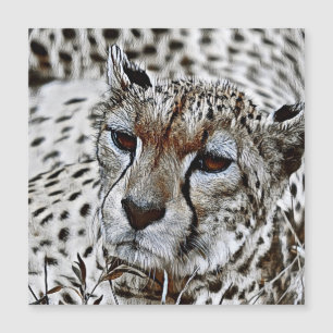 Carte Magnétique Animal SmartMix - Cheetah 2