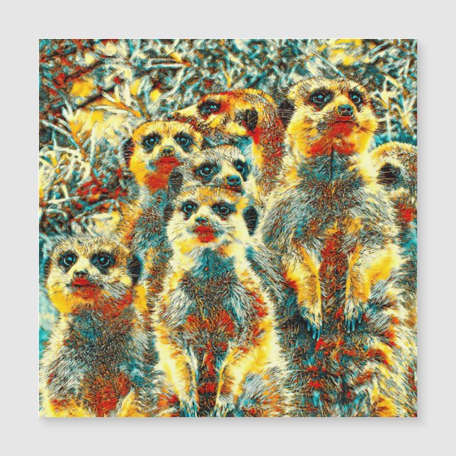 Carte Magnétique AnimalArt_Meerkat_001 (Devant)