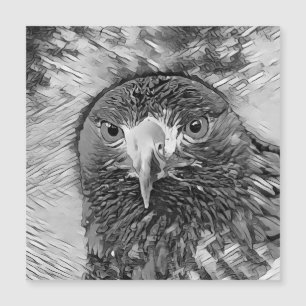 Carte Magnétique AnimalArtBW_Bird_003