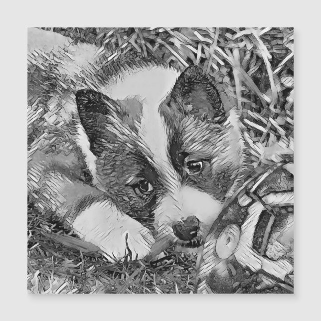 Carte Magnétique AnimalArtBW_Dog_012 (Devant)