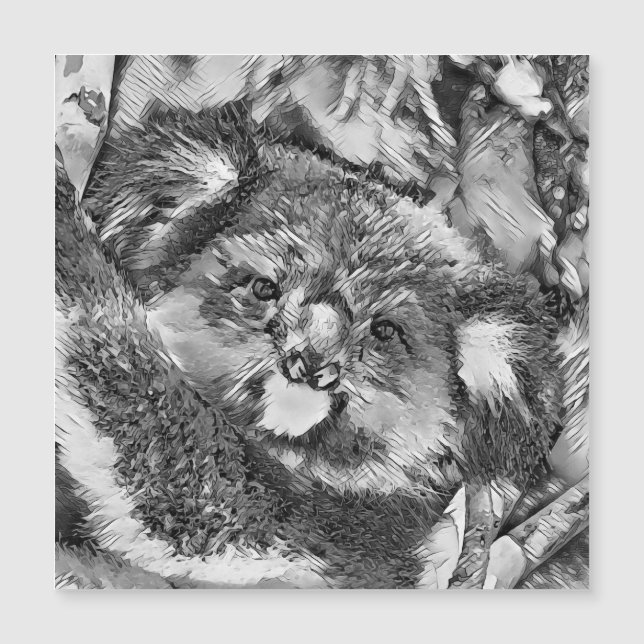 Carte Magnétique AnimalArtBW_Koala_001 (Devant)