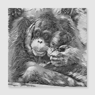 Carte Magnétique AnimalArtBW_OrangUtan_001
