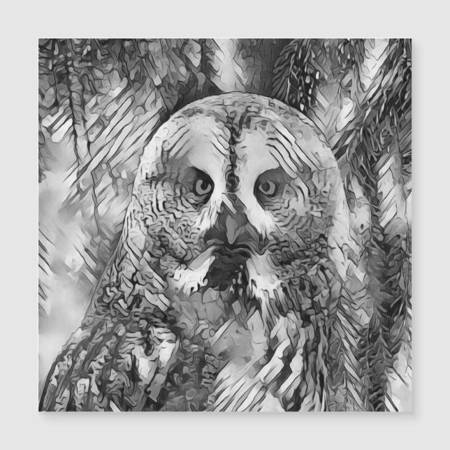 Carte Magnétique AnimalArtBW_Owl_001 (Devant)