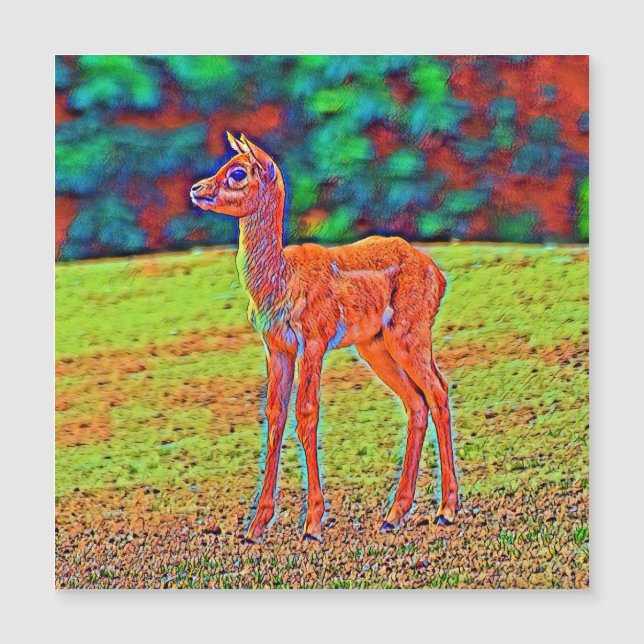 Carte Magnétique AnimalColor_Antilope_001 (Devant)