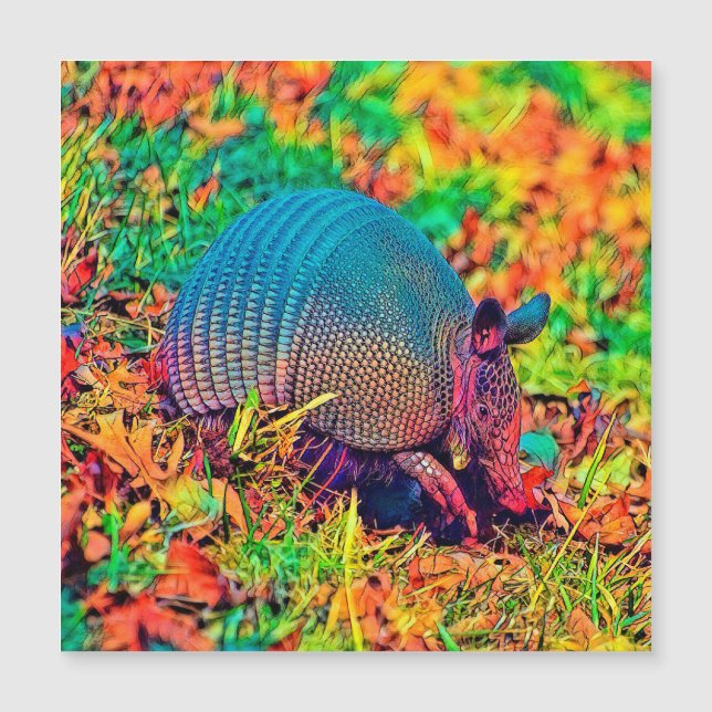 Carte Magnétique AnimalColor_Armadillo_001 (Devant)