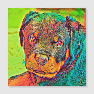 Carte Magnétique AnimalColor_Dog_003