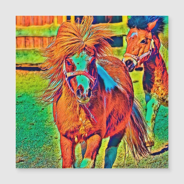 Carte Magnétique AnimalColor_Horse_001 (Devant)