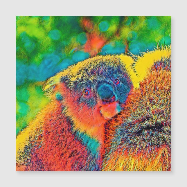 Carte Magnétique AnimalColor_Koala_001 (Devant)