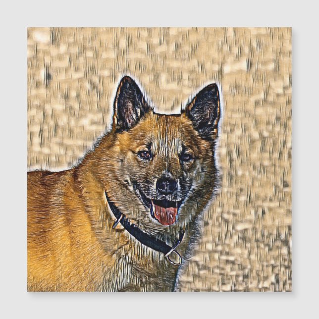 Carte Magnétique AnimalMix_Dog_004 (Devant)