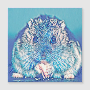 Carte Magnétique AnimalMix_Hamster_003