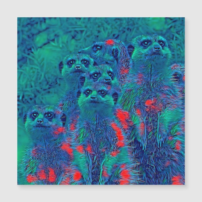 Carte Magnétique AnimalMix_Meerkat_015 (Devant)