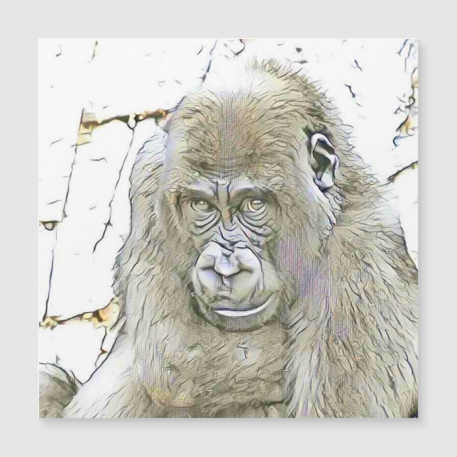 Carte Magnétique animaux fascinants - Gorilla (Devant)