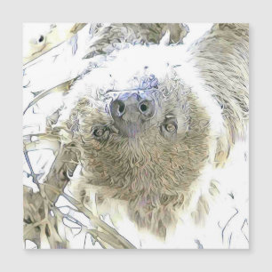 Carte Magnétique animaux fascinants - Sloth