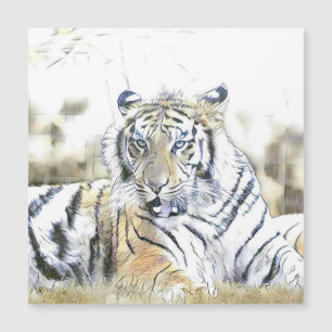 Carte Magnétique animaux fascinants - Tigre