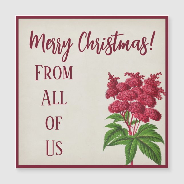 Carte Magnétique Antique Noël Spiraea Palmata (Devant)