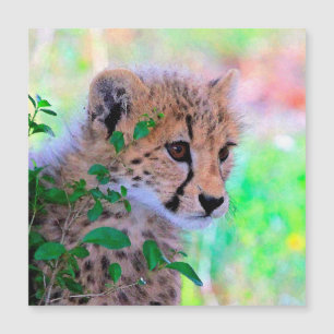 Carte Magnétique Aqua_Cheetah_20180102