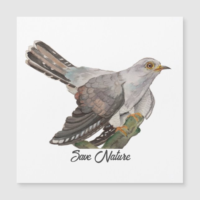 Carte Magnétique Aquarelle peignant un coucou (Devant)