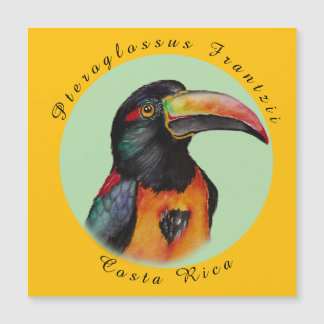 Carte Magnétique Aquarelle toucan