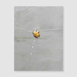 Carte Magnétique Araignée