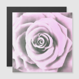 Carte Magnétique Artistic Rose rose rb