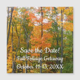 Carte Magnétique Automne Maple Trees Automne Nature Sauvez la date