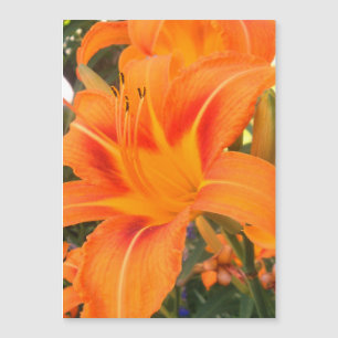 Carte magnétique avec lys orange dans le jardin