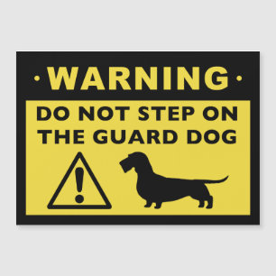 Carte Magnétique Avertissement de chien de garde teckel à poil dur