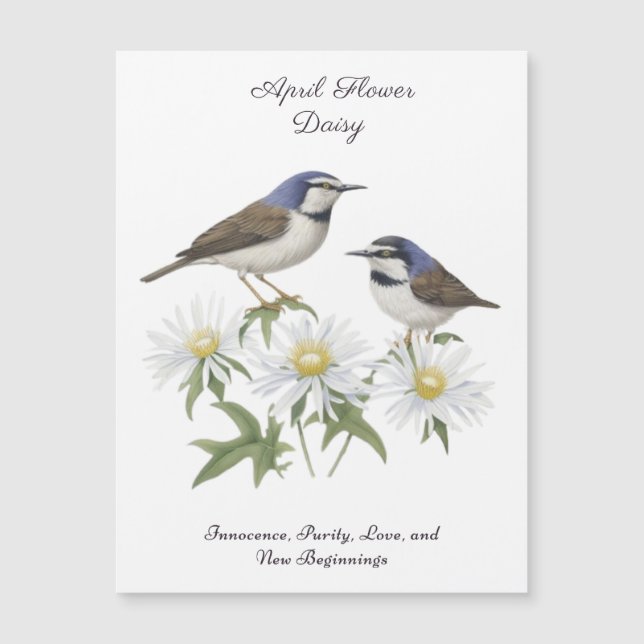 Carte Magnétique Avril Mois de naissance Fleur Daisy Chéri Annivers (Devant)