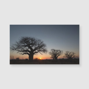 Carte Magnétique Baobabs sacrés