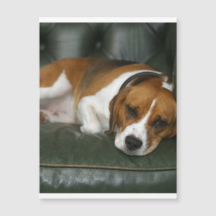 Carte Magnétique beagle de refroidissement.png