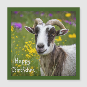 Carte Magnétique Belle chèvre