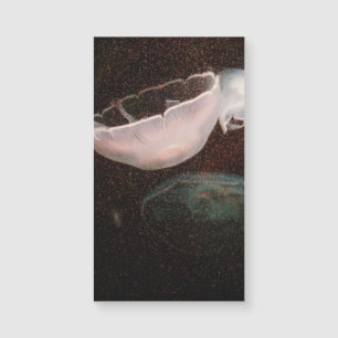 Carte Magnétique Belle méduse