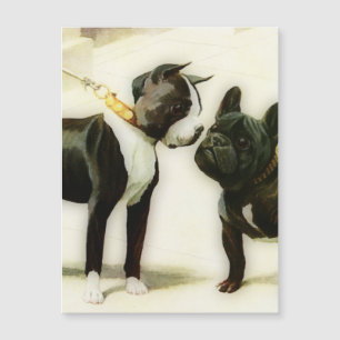 CARTE MAGNÉTIQUE BOSTON TERRIER&BULLDOG FRANÇAIS