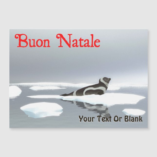 Carte Magnétique Bouon Natale - Sceau de ruban (Devant)