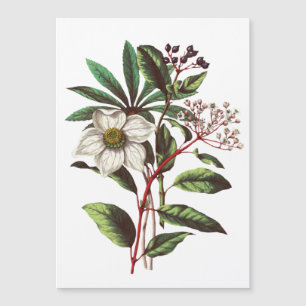 Carte Magnétique Bouquet de Rose de Noël vintage