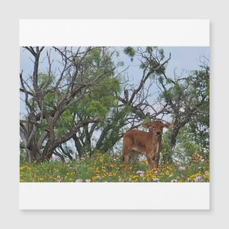 Carte Magnétique Brahman Calf in Wildflowers