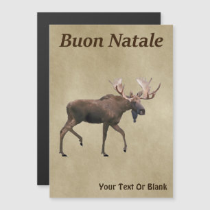 Carte Magnétique Buon Natale - Bull Moose Sur Ancien Papier