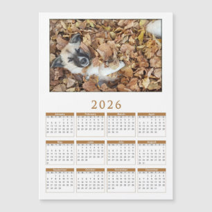 Carte Magnétique calendrier magnétique 2026 avec Vos animaux