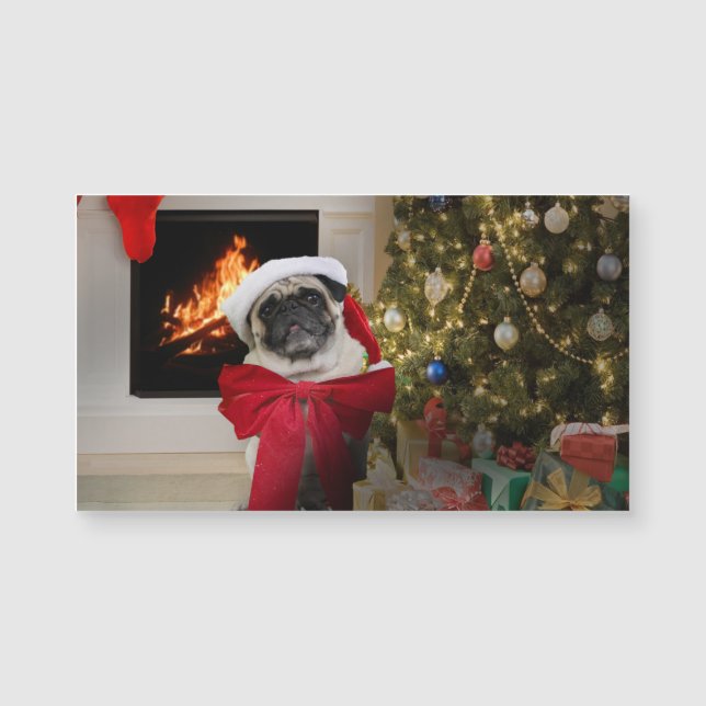 Carte Magnétique Carlin Misha attend le matin de Noël (Devant)