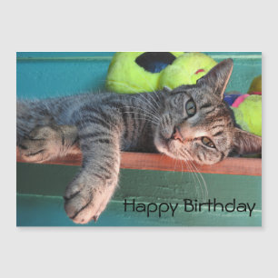 Carte Magnétique Chat Love Joyeux anniversaire