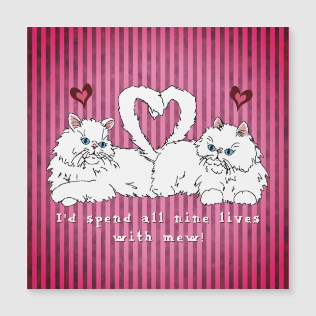 Carte Magnétique Chats perses blancs au coeur Saint-Valentin (Devant)