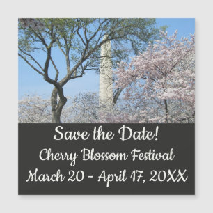 Carte Magnétique Cherry Blossoms et le monument de Washington à DC