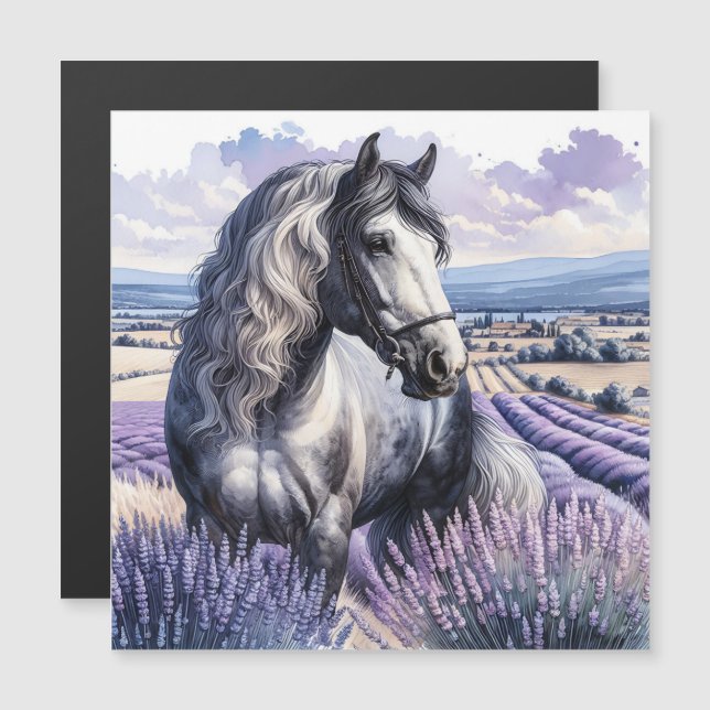 Carte Magnétique Cheval gris joli debout en Lavender (Devant / Derrière)