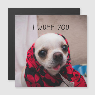 Carte Magnétique Chihuahua mignon Je vous jure que vous aimez la ca