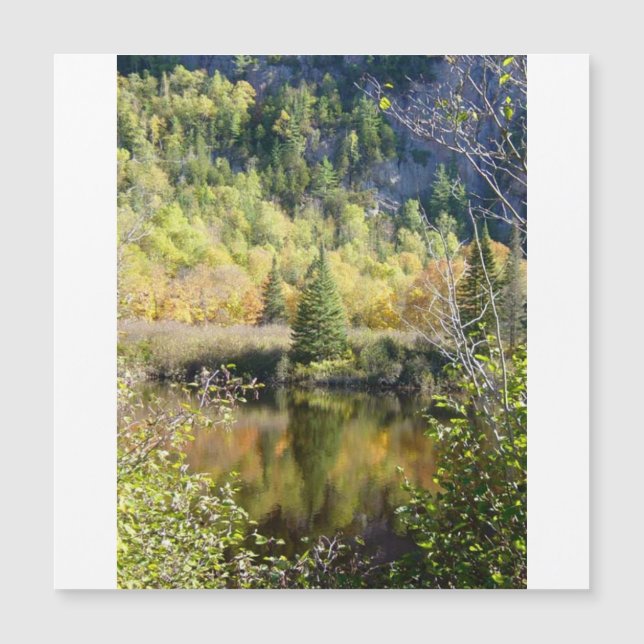 Carte Magnétique Christmas Tree holiday card, magnetic card (Devant)